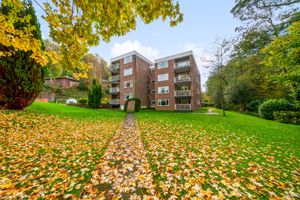 Photo 12- click for photo gallery